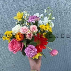 final test (auto)
